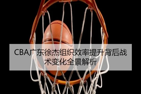 CBA广东徐杰组织效率提升背后战术变化全景解析